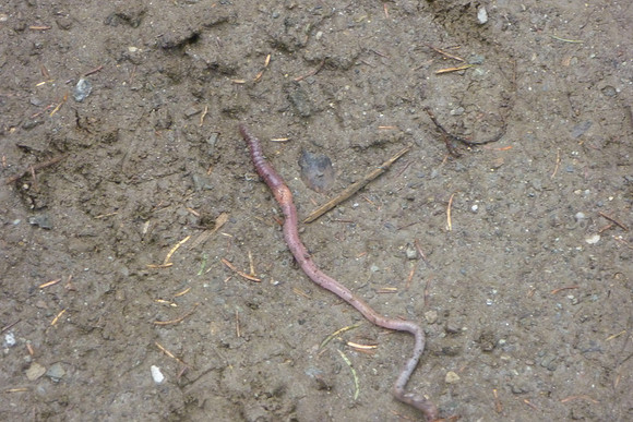 P1160405