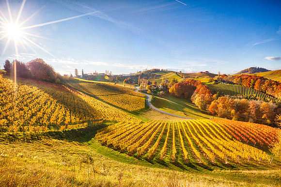 IMG_3574_HDR