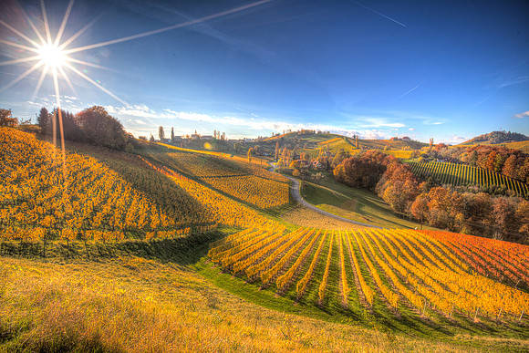 IMG_3582_0_1HDR