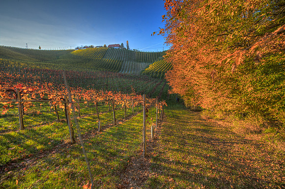 IMG_3649_48_50HDR